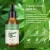 Import Private Label Natural Hemp Seed Oil Plant Extracts CBD Essential Oil Anxiety Relief Sleeping Aid Serum Full Spectrum Massage Oil from China