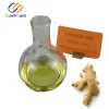 Professional Supplier Nature Ginger Oil for Food Additives