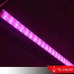 Promotional Price Ip65 Linear Led Grow Light For Plant Growth