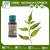Import Pure and Organic Neem Oil at Low Price from India