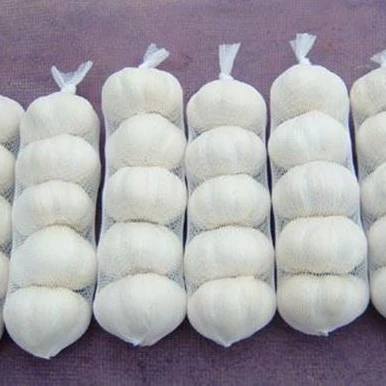 Quality Fresh White Garlic for sale Discount available.