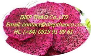 Red dragon fruit powder/ pink pitaya powder/ high quality for juice