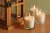 Import Rocks and Tray Natural Candlescape Set decorative glass candle holder from China