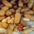 Import RUNNER PEANUTS FOR SALE from Ukraine