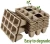 Import Seed starter trays biodegradable organic nursery plant peat pots vegetables tomato seedlings plant tray heavy duty seeding cups from China
