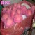 Import shanxi fuji apple 2018 new crop sweet fresh fuji apple fruit from China