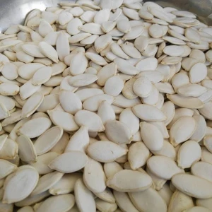snow white pumpkin seeds 11cm~13cm,11mm~13mm