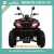 Import Sport solo design street quad snowmobile Euro 4 EEC COC ATV ATV200-EC (Euro4) from China