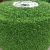 Import Sports Plastic Soccer Field Carpet Gym artificial turf grass with low prices from China