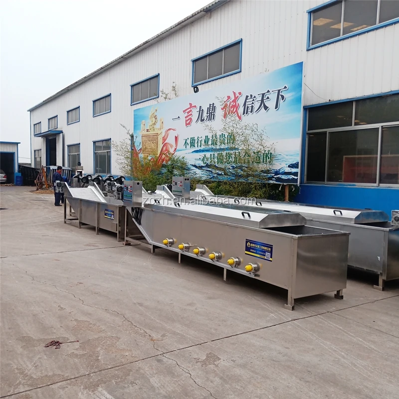 Stainless Steel pickled vegetable Pasteurizer Sterilizer Machine fried chips Blanching line