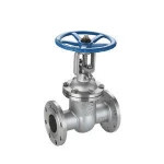 Stainless Steel Water Steam Oil Manual Gate Valve 1 inch