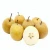 Import Super Quality Fresh Sigo Pear From China from China