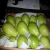 Import sweet guava for sale from Egypt