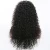 Import thick density 100% top quality indian remy hair kinky curl lace front wig for black women from China