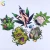 Import Tobacco smoking accessories waxing pad rolling paper smoke mat silicone mat custom from China