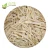 Import Top Quality Frozen Burdock Diced Organic IQF Burdock with good price from China