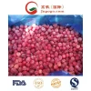 Top Sell IQF Frozen Cherry