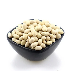 Top white kidney beans / butter bean / white bean for export