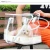 Import Transparent fashion cat dog carrier hand bag pet out carrying casual travel bag portable cage fashion from China