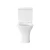 Import Two Piece Toilet Luxurious Close-coupled Toilet Suite elongated p-trap washdown flushing,full closed design from China