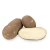 Import US Grown Fresh POTATO BAKERS BULK Robinson Fresh MOQ 50-60 COUNT Quick Delivery in US from USA