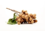 Vietnam fresh LONGAN - Dried fruits- premium