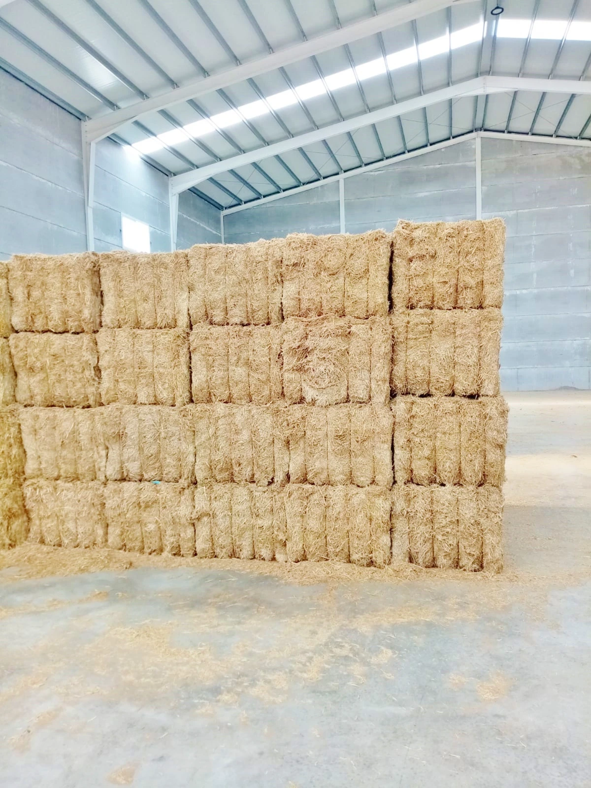 Quality Grade 100% Wheat Straw Hay Packed in 390KG Bales