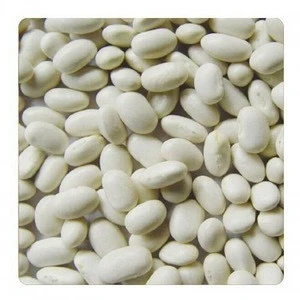 white kidney beans available