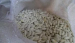 white kidney beans