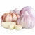 Import Wholesale 2020 new fresh garlic supplier normal white garlic from Brazil