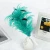 Import Wholesale girl&#039;s headwear hair accessories Feather headdressing from China