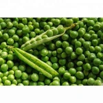 Wholesale Green Peas / Fresh Frozen Green Peas / Wholesale Fresh Peas