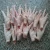 Import wholesale high quality frozen chicken paw claw poultry claw feet from China