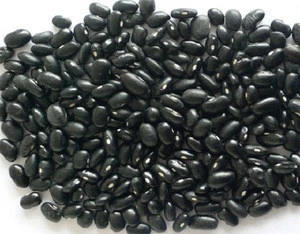 Wholesale Kidney Black Beans In Austria