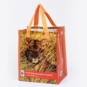 wholesale laminated reusable non woven packaging bag