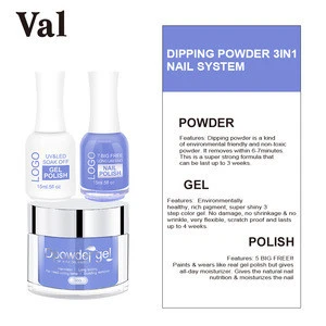 Wholesale Nails Quick Dip Acrylic Dipping Powder System with Private Brand Acrylic Nail Art