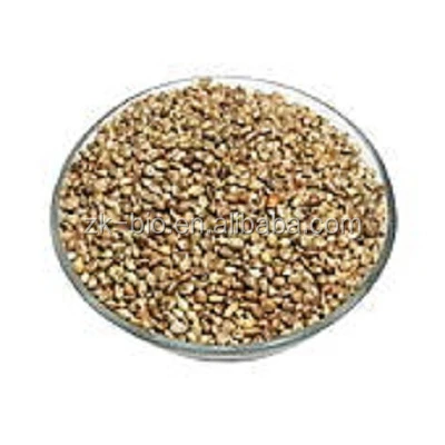 wholesale price Organic Hulled Hemp Seed Shelled Hemp Seeds