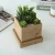 Import Wholesale Square Design Succulent Plant Pot/Cactus Plant Pot With Bamboo Tray from China