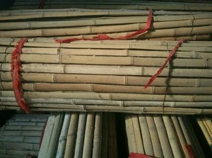 WY-CC 207 plastic coated bamboo cane for garden building supplies china