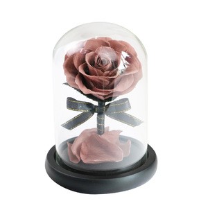 Xiangnan Wholesale Luxury Preserved Eternal Roses Real Fresh Long Stem Glass Rose Dome Flowers in Glass Dome