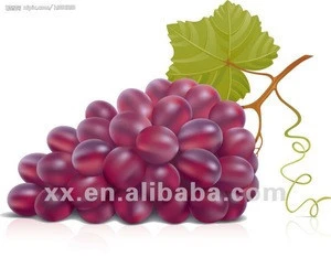 xinjiang fresh red grape