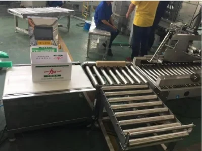 Zx600 Automatic Conveyor Check Weigher with Rejector