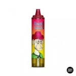 RandM Tornado 15000 Puffs Hot New Products LED Display Disposable Vape