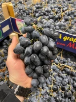 Fresh Grapes Moldova from Republic of Moldova