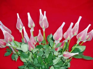 Flower ROSE Protect Sleeve Tube Netting