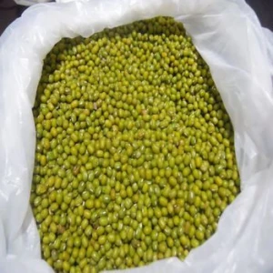Green Mong Beans