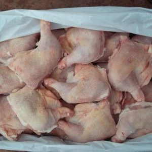 Top Quality Frozen Chicken from Poland