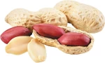 Blanched peanut kernel for sale