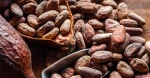 Cocoa Beans