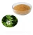 Import 100% Pure Natural bacopa monnieri extract powder,The main benifits of Bacopa Extract from China